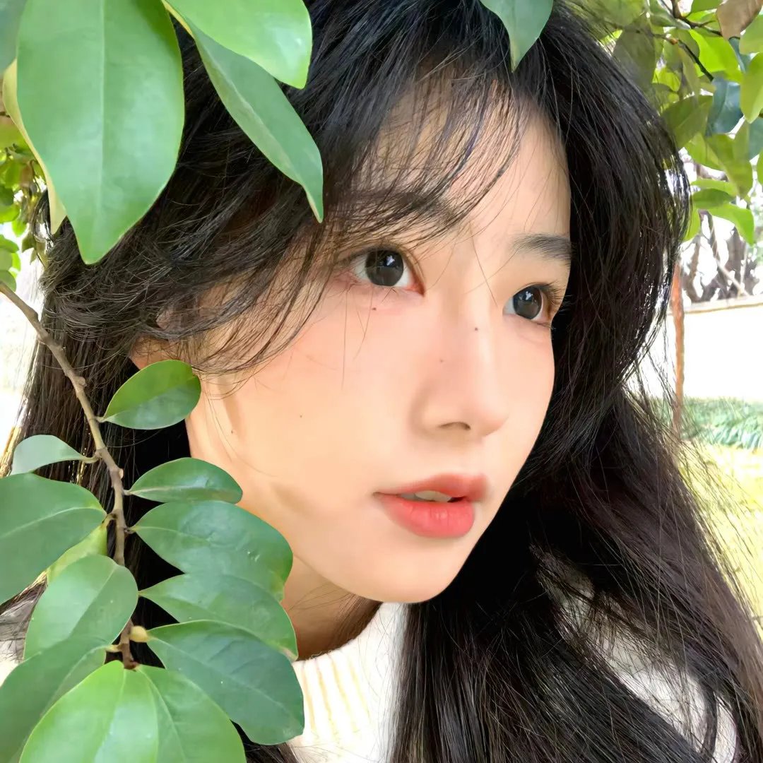 传销风云