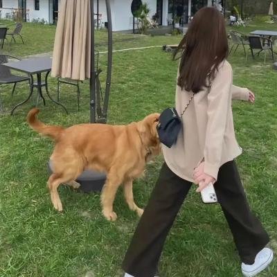 儿子
